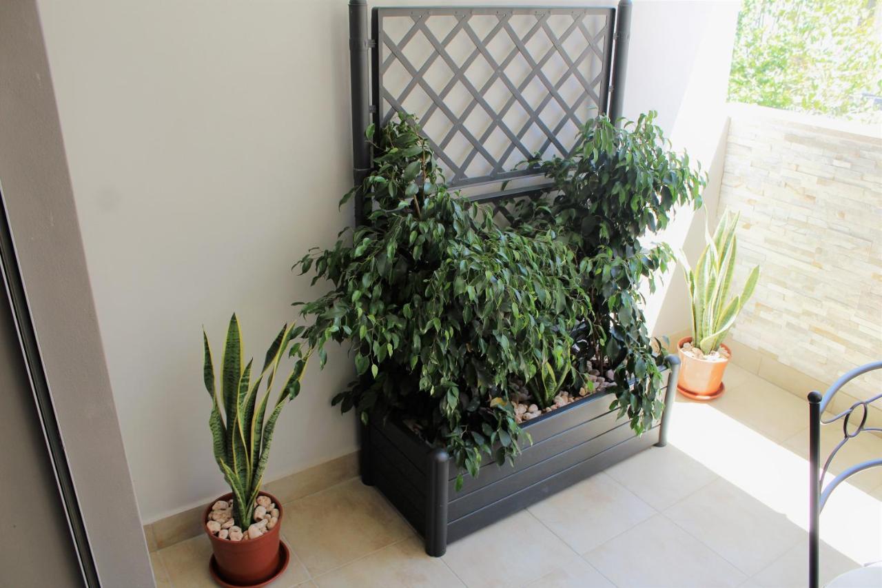 Casa Angelina Deluxe Suite Lecce Exteriér fotografie